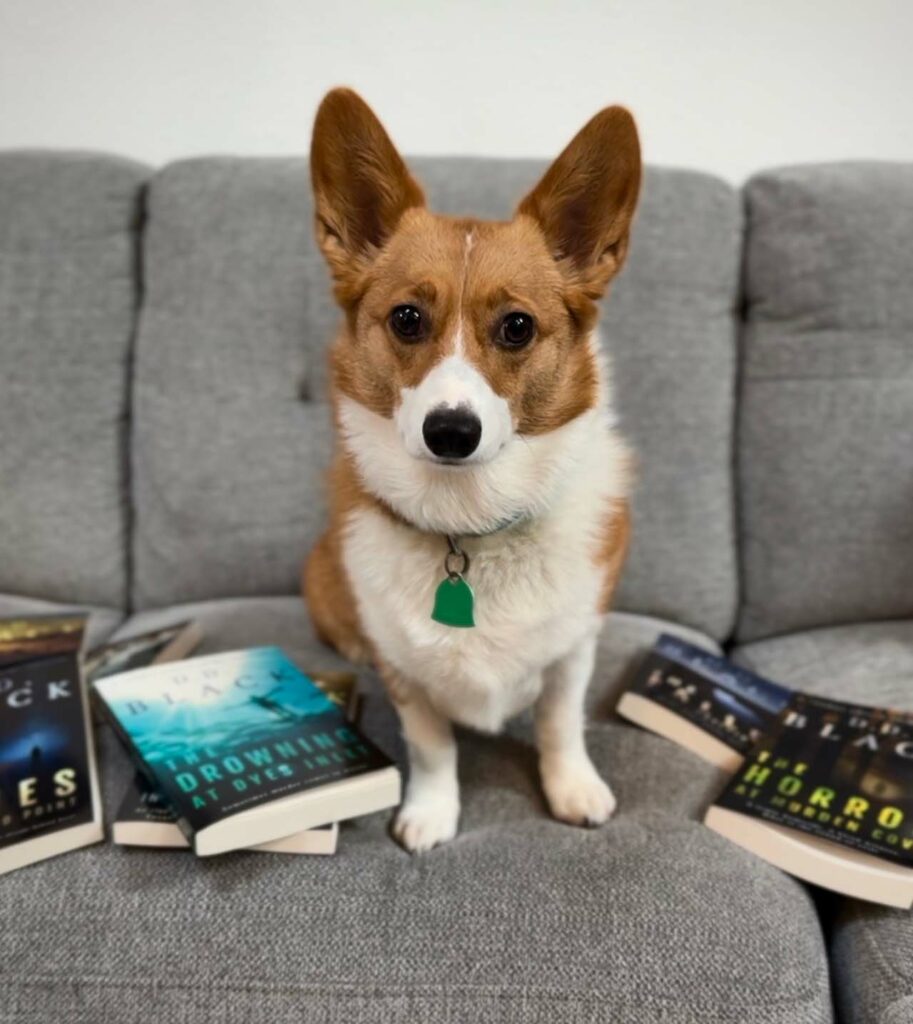 A dog sits on a couch with books in front of it.